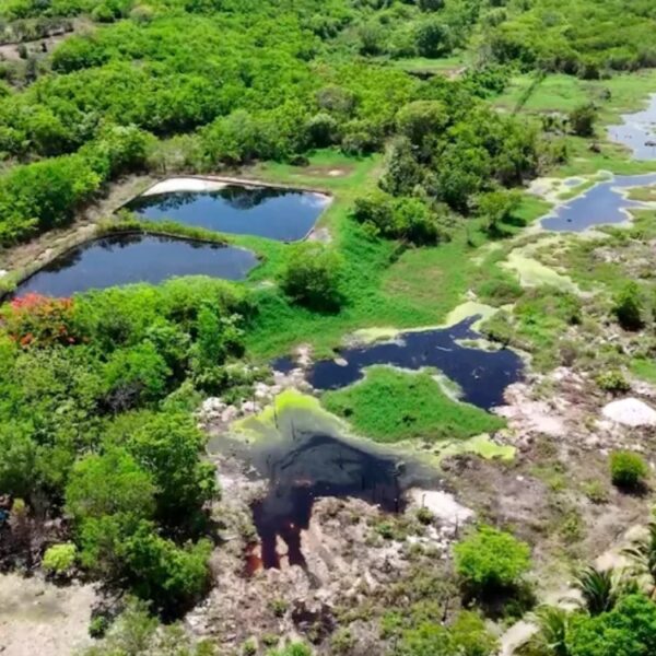 Más de 40 basureros clandestinos amenazan la laguna Chacmuchuch en Quintana Roo